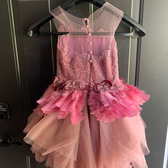 Soapbox• If Birds Could Fly - Picture 2 of 3